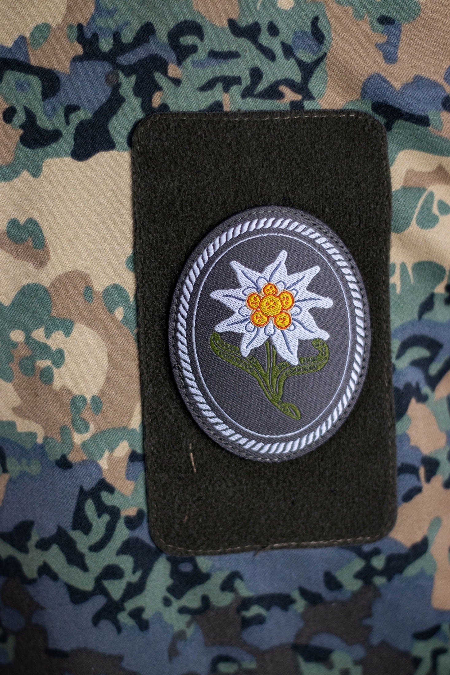 Clawgear EDELWEISS PATCH OVAL - INVICTUSLEGIO