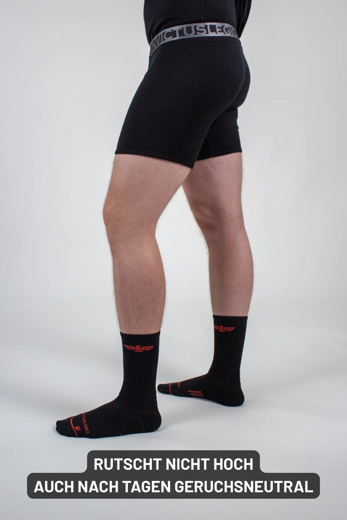Field Merino Boxer