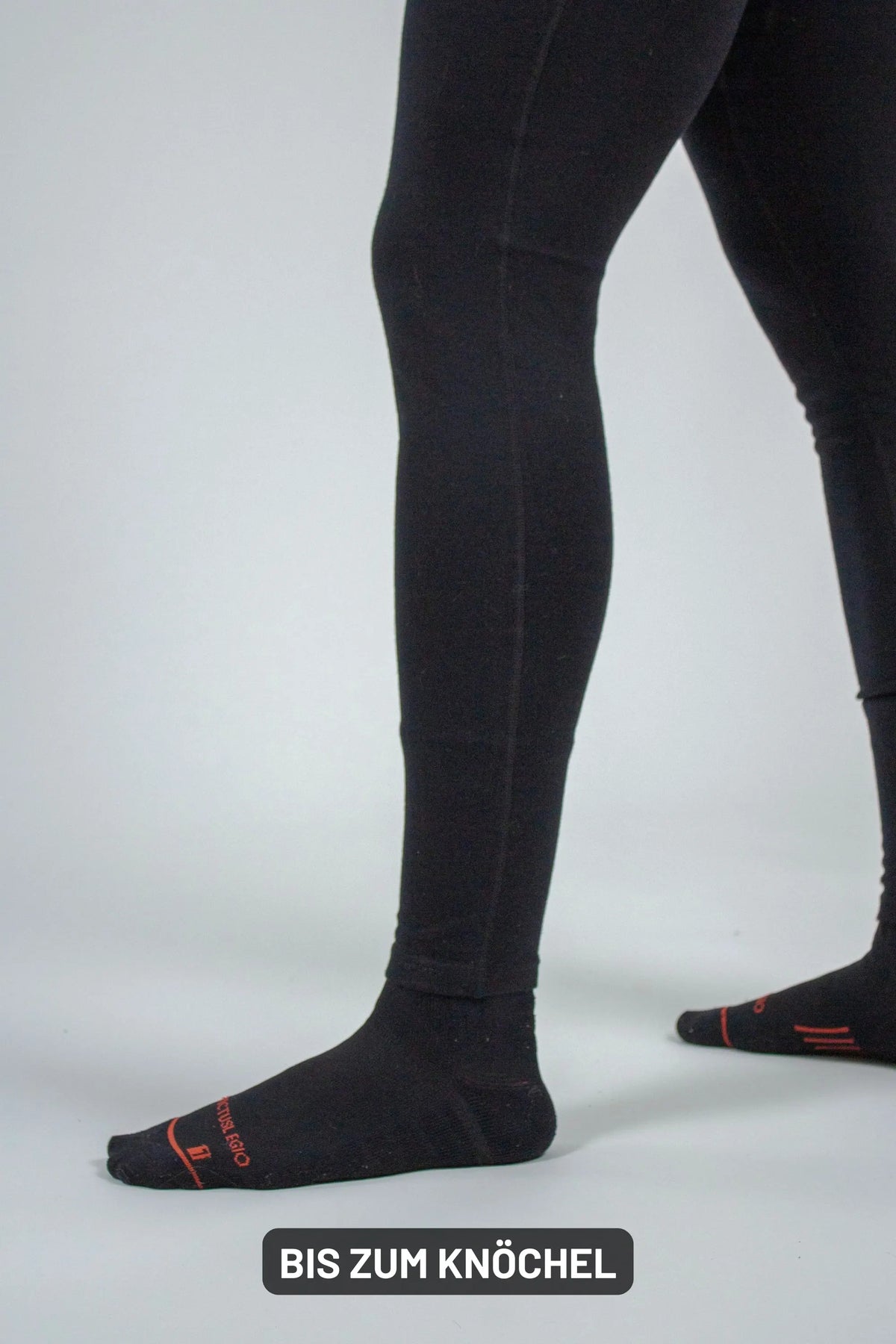 Field Merino Bottom