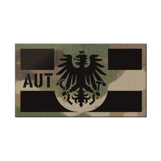 Pitchfork Austria IR Print Patch - INVICTUSLEGIO